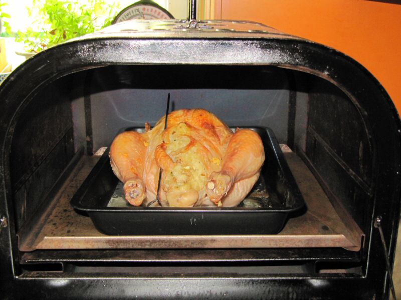 Primus_1118_roast_chicken.jpg